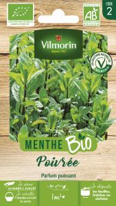 Menthe Poivrée - BIO